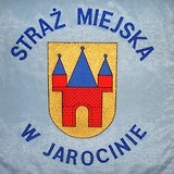 Miniaturka sztandaru straży miejskiej 1