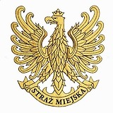 Miniaturka sztandaru straży miejskiej 3