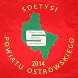 Miniaturka sztandaru dla stowarzyszenia 5
