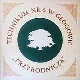 Miniaturka sztandaru szkolnego 21